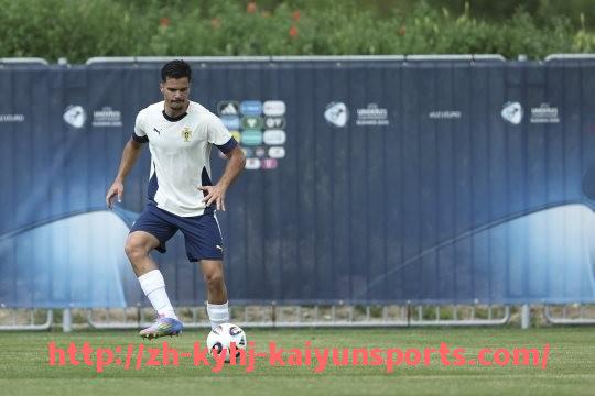 ky开云-法甲赛事数据总结与赛季趋势预测报告